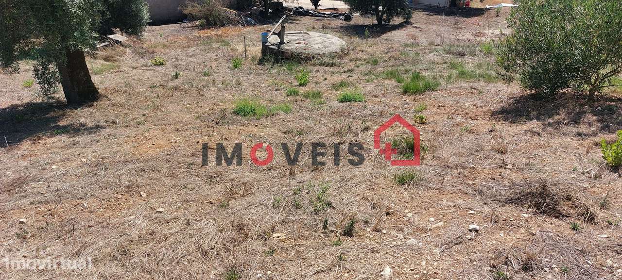 Terreno para construção com vista desafogada! - Grande imagem: 5/6