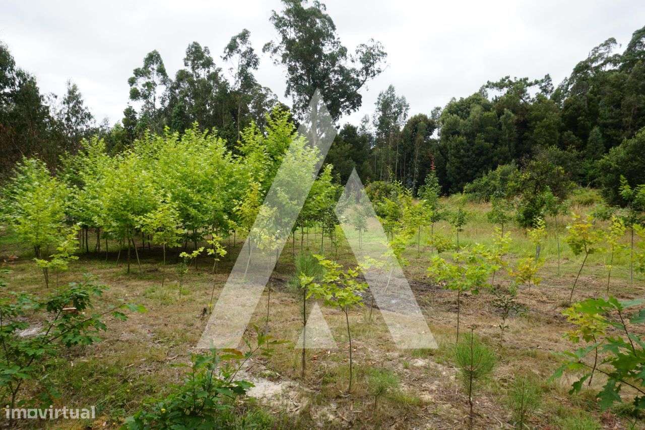 Terreno agrícola situado na zona de Horta em Eixo, Aveiro - Grande imagem: 4/25