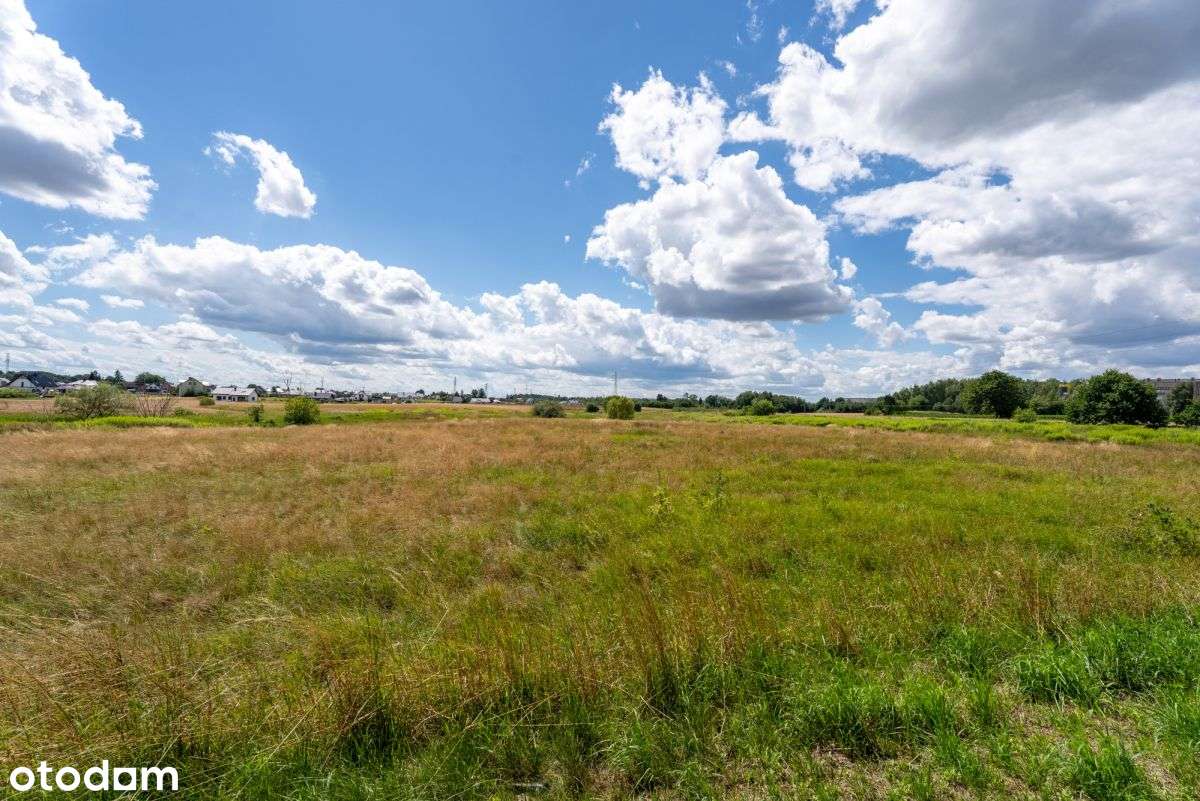 Sprzedam Duży Teren Rolny 1,5ha Żory Baranowice-12