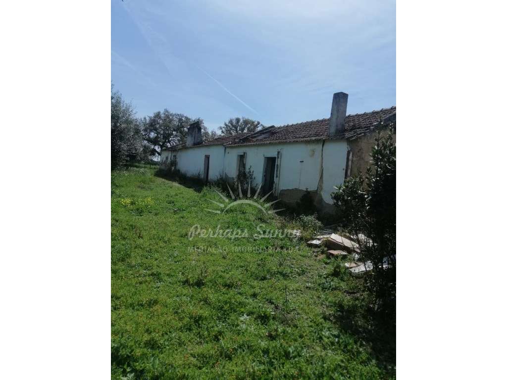 Quinta - Grândola - Grande imagem: 4/29