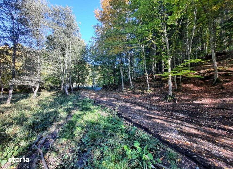 Teren extravilan , 7160 metri Cod:160785 - Imagine principală: 3/5