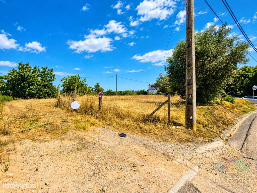 Terreno urbanizável a 5 minutos de Tomar-10