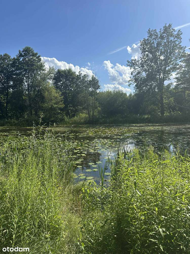 Julianów 3-pokojowy apartament z dużym tarasem/bezpośrednio przy parku-19