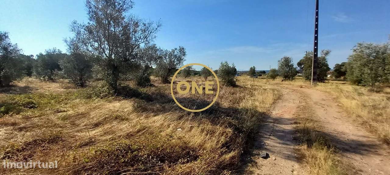 Terreno com 21.960 m2 e viabilidade construtiva | Vila Nova da Barquin-14