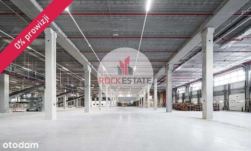 Magazyn na wynajem - 3500 m2 Szczecin - 0% prow. - Pełny obrazek: 5/5