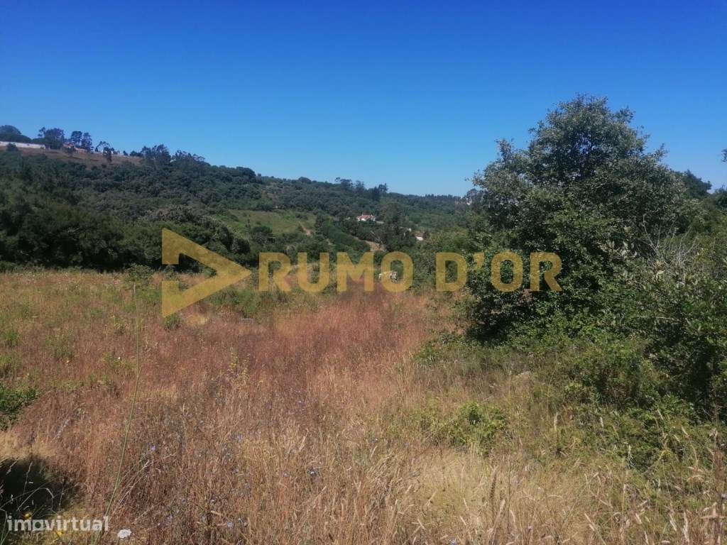 Terreno Rustico Em Sobral De Monte Agraço - Grande imagem: 4/25