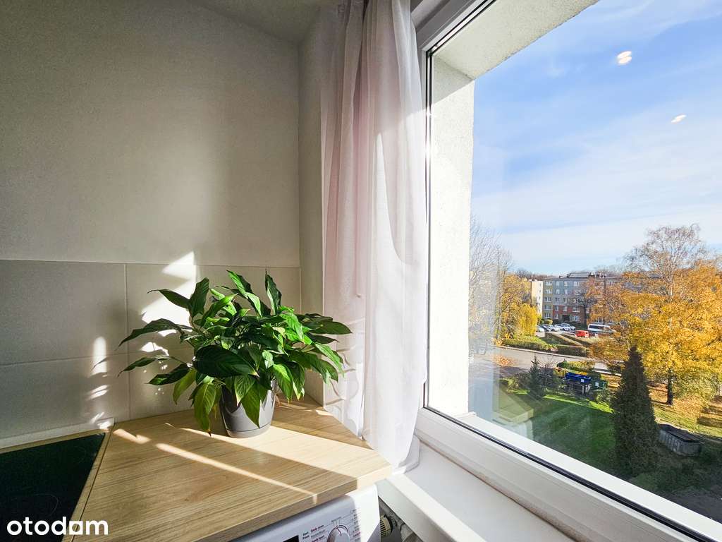 Po generalnym remoncie z umelowaniem + balkon !-4