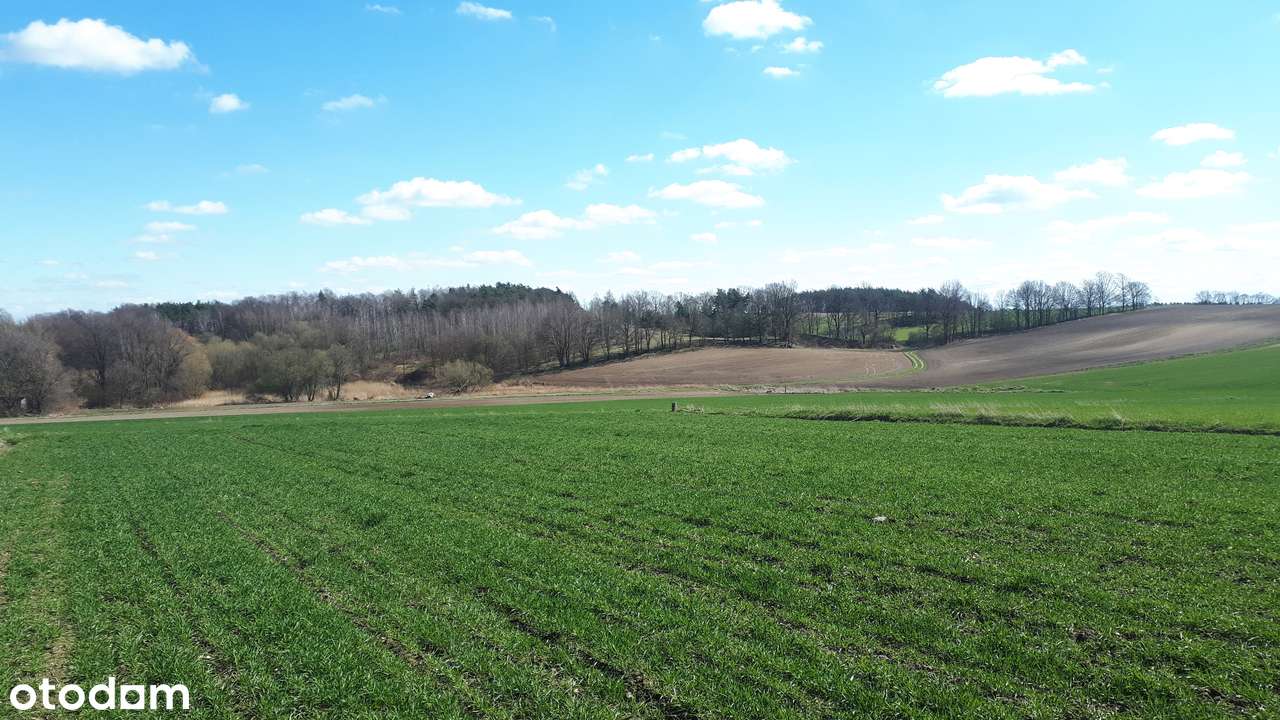 Działki w malowniczej okolicy - Pełny obrazek: 5/6