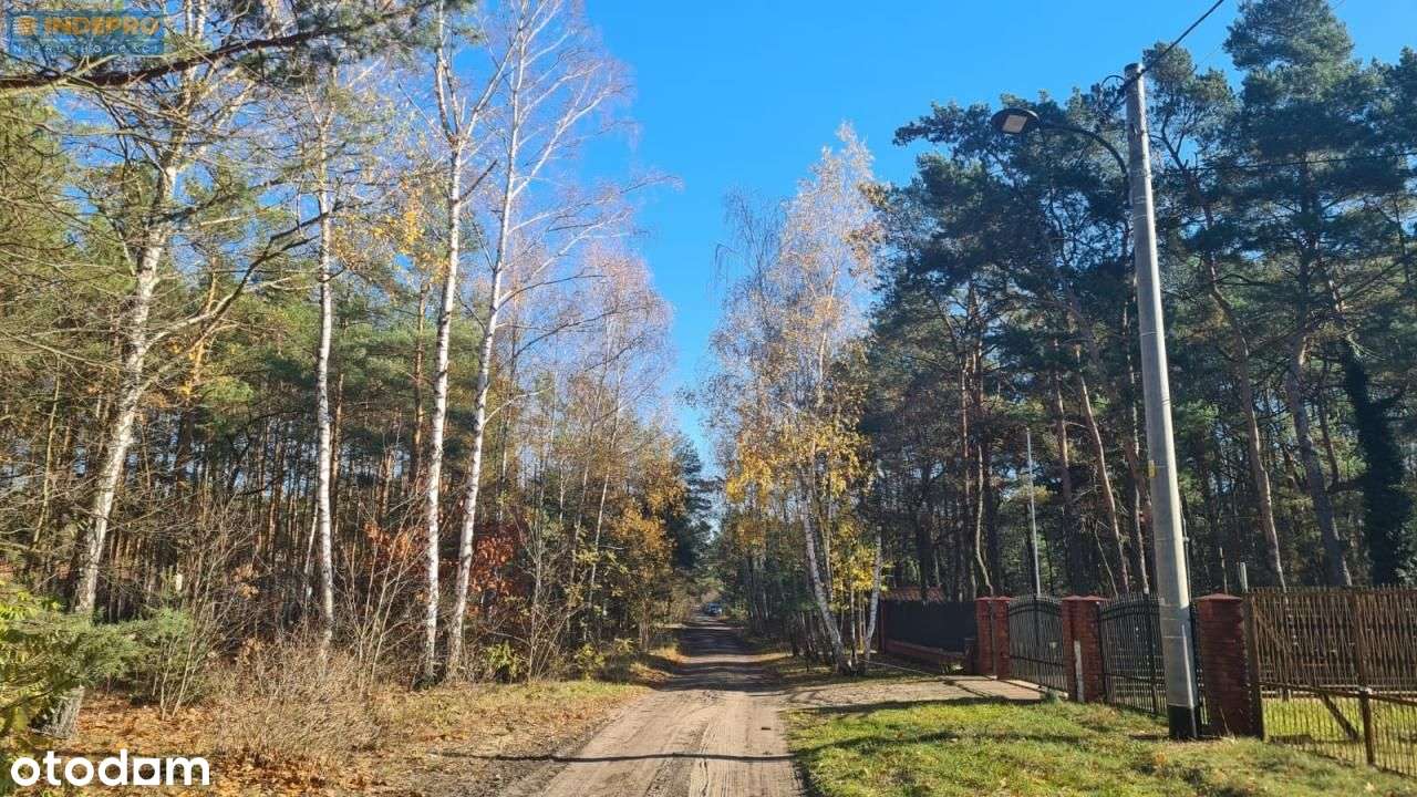 Działka leśna 7 388 m² z potencjałem | Wesoła-0