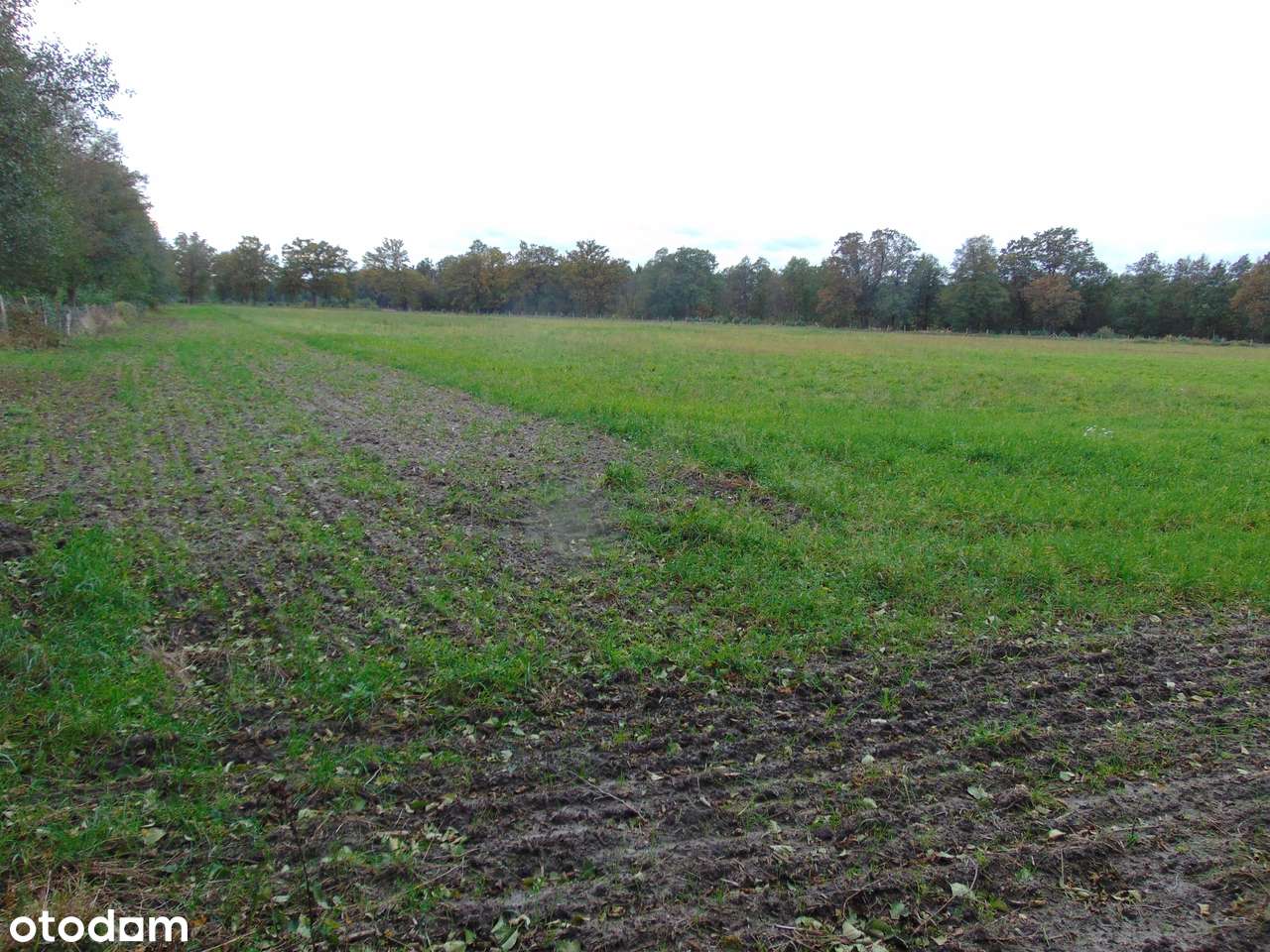 Działka usługowo-inwestycyj. 4,7 ha w Zielonej Górze (także s. paliw) - Pełny obrazek: 4/8