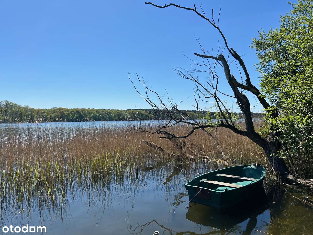 Lusowo- wyjątkowa działka nad jeziorem w pierwszej linii zabudowy-7