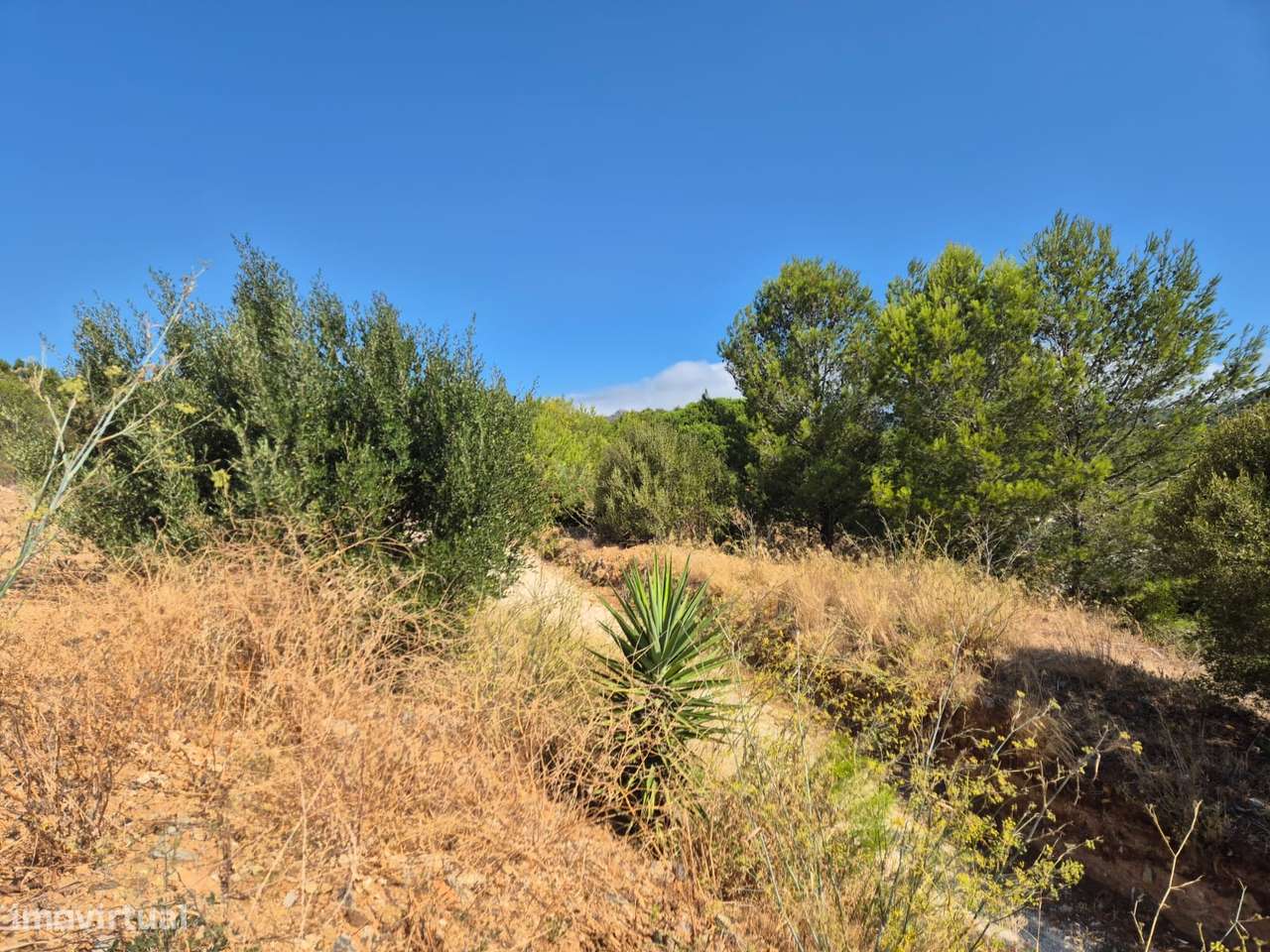 Terreno Exclusivo com Projeto Aprovado (Licença de obras emitida) - Grande imagem: 5/32