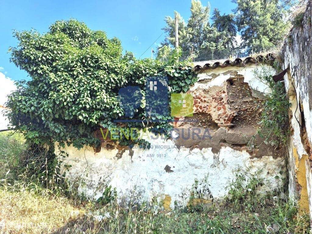 Prédio  Misto, com 0,7250 Ha | MOURA-21