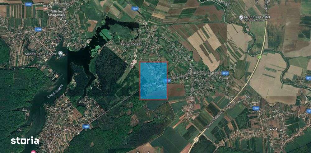 Teren intravilan 1.300 mp Gruiu - Imagine principală: 5/5