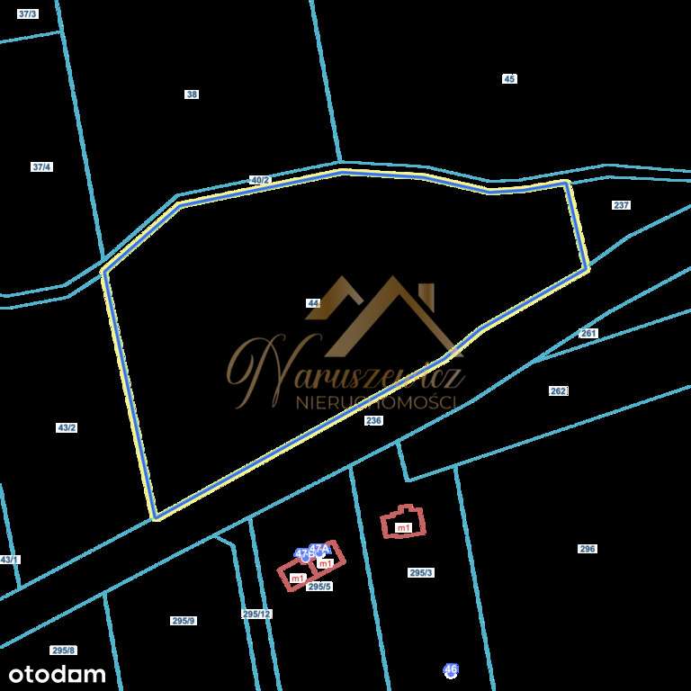 Urokliwa działka w Szurpiłach  | Możliwy podział-6