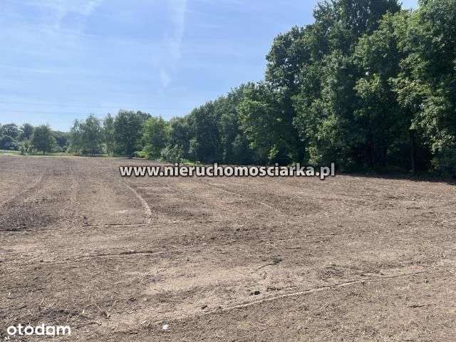 Działki budowlane Skrzyszów dostępne 2 ostatnie - Pełny obrazek: 4/11