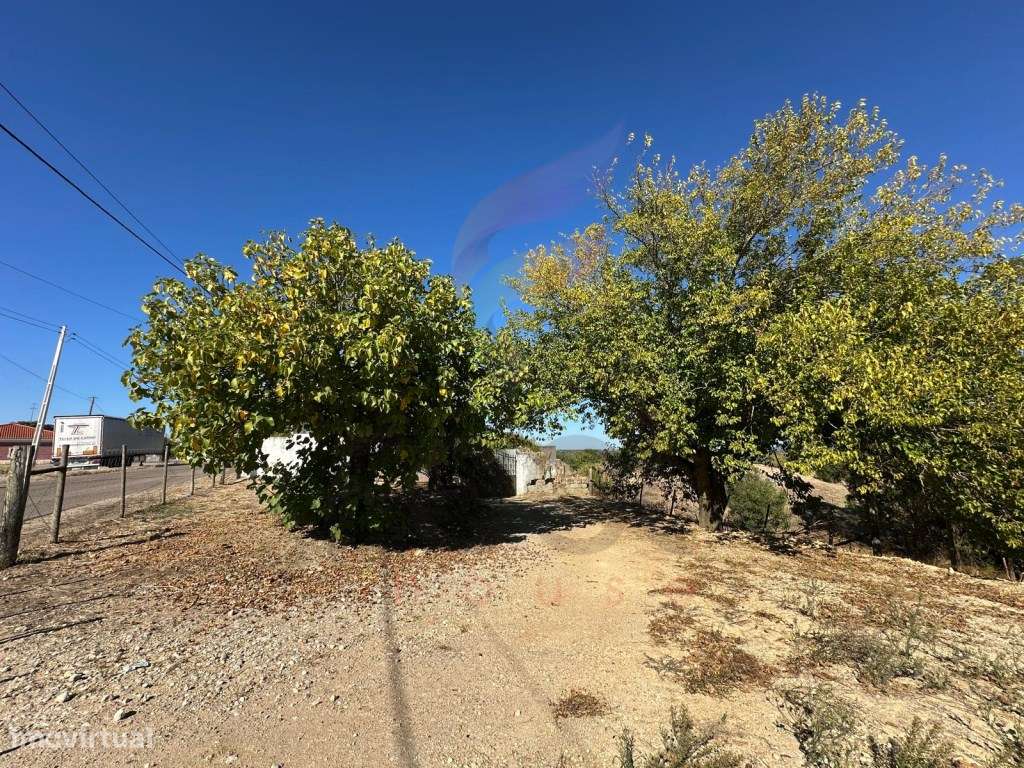 Moradia Independente (Comeiras de Baixo) - São Vicente do Paul-1