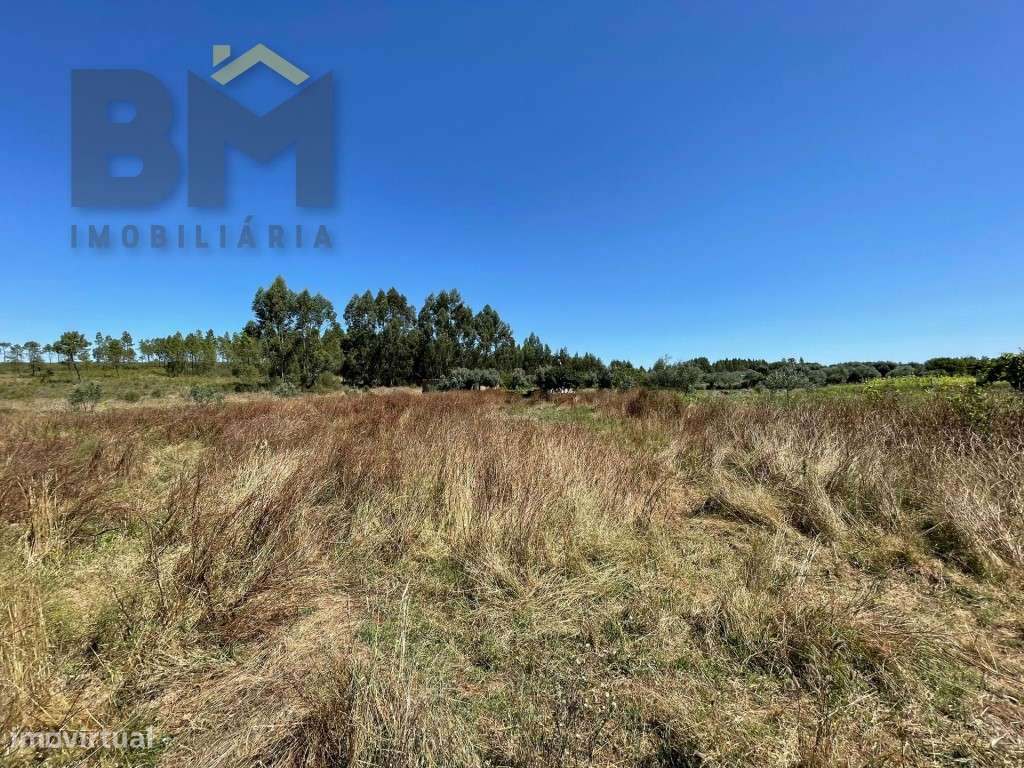 Terreno rustico com 1680m2 em Juncal do Campo! - Grande imagem: 2/8