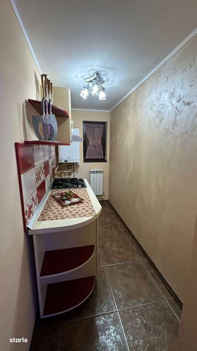 Casa P+M Cumpana – centrala gaz, alarma, curte 500 mp, foisor-8