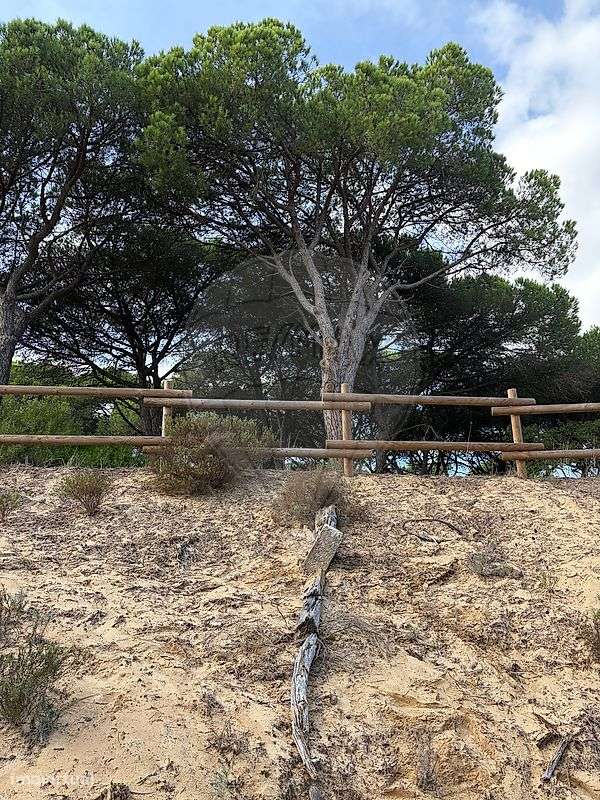 Terreno  para venda-11