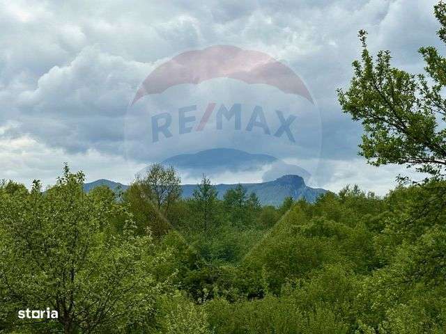 Teren 20,876mp Breb / Drumul Principal - Imagine principală: 3/8