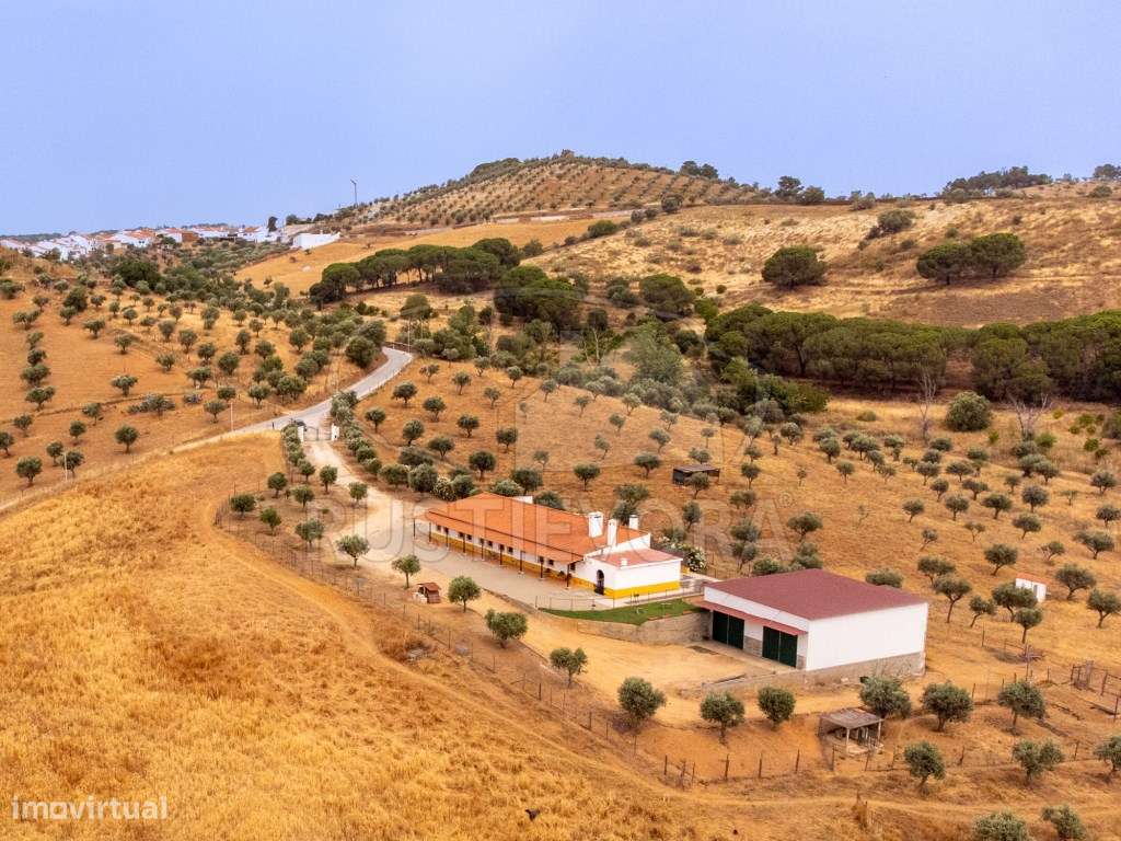 Quinta em Portel - 4,3 Ha de Tradição e Conforto-42