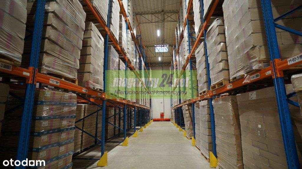 Do wynajęcia hala magazynowa 2726 m2 Gniezno - Pełny obrazek: 2/5