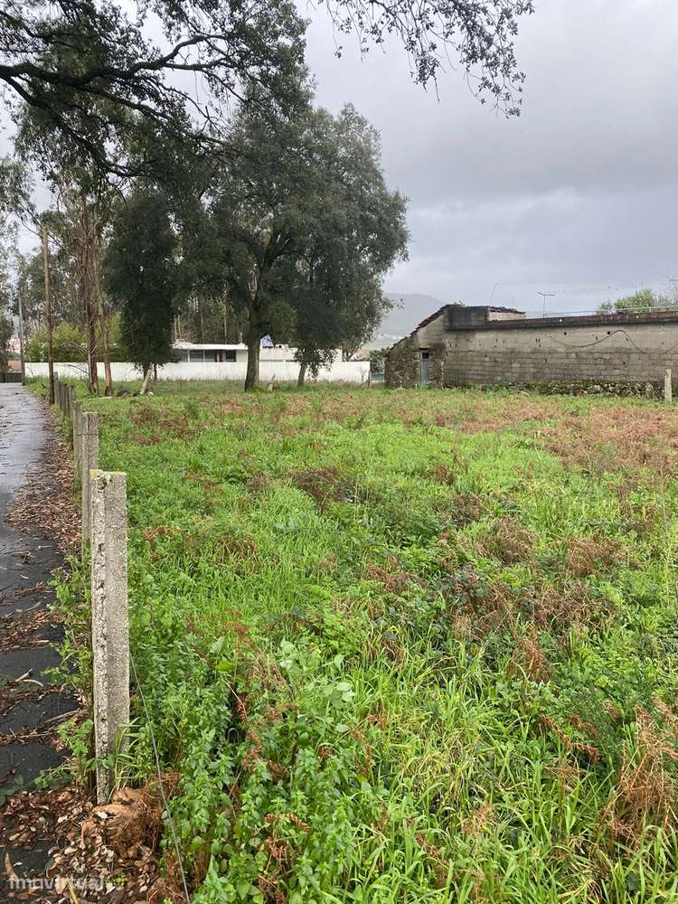 Terreno, Braga, Barcelos, Vila Cova e Feitos - Grande imagem: 5/15