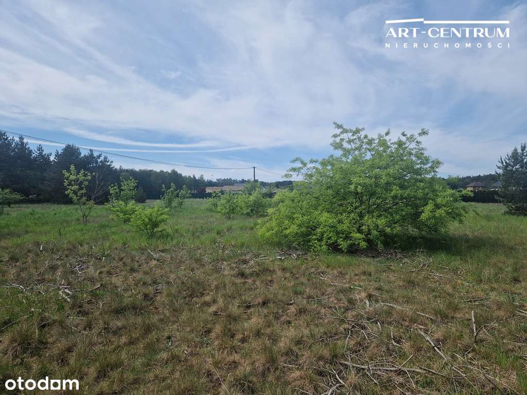 Działki budowlane niedaleko Łabiszyna - Pełny obrazek: 5/12