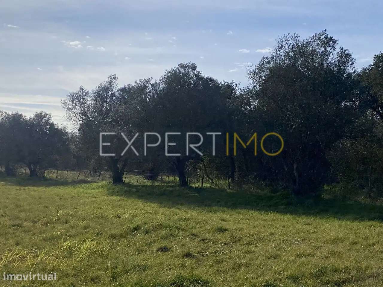 Terreno de 43.200 m2 com casa, anexos e apoio agrícola no Vale... - Grande imagem: 5/22