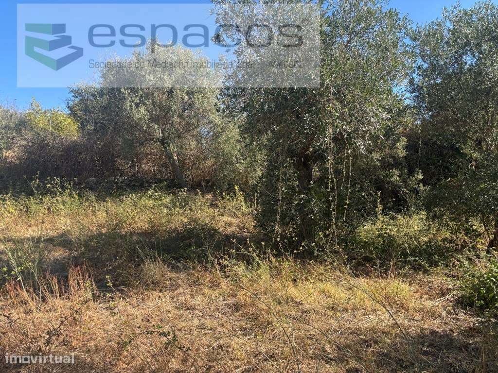 Moradia com terreno-7