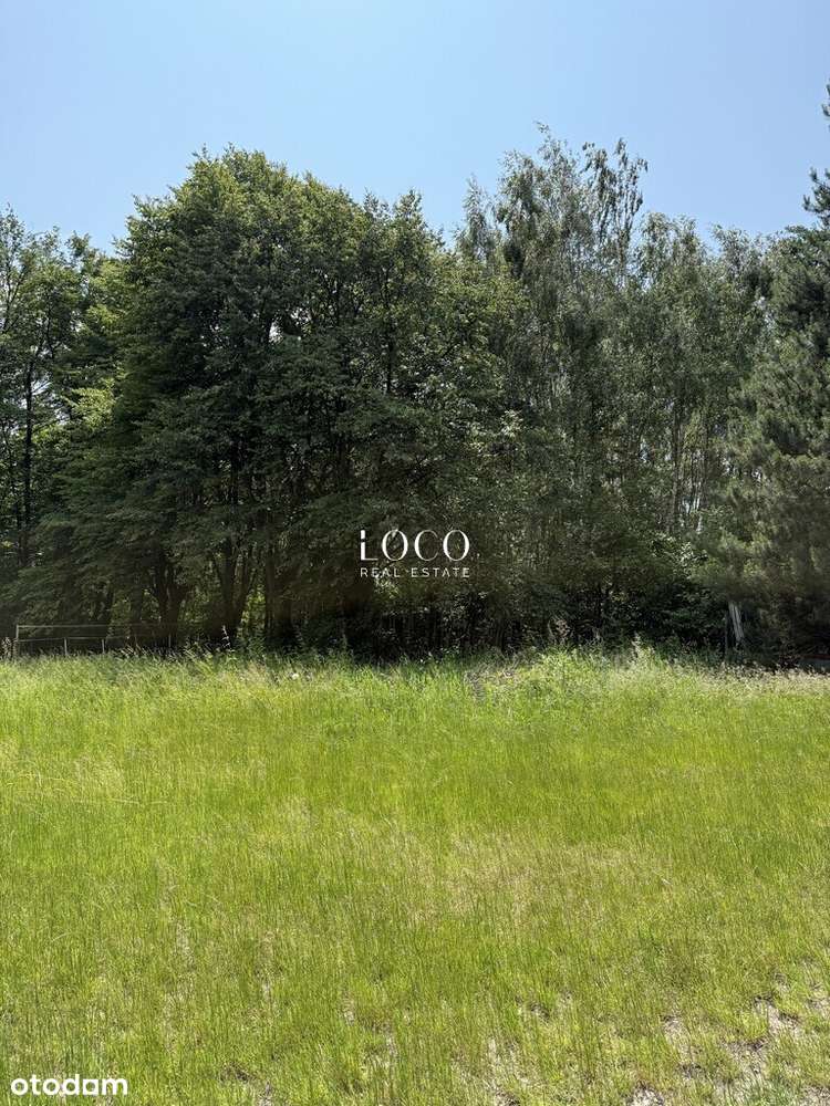 Działka siedliskowa 1,1 ha Stefanówka - Pełny obrazek: 4/9