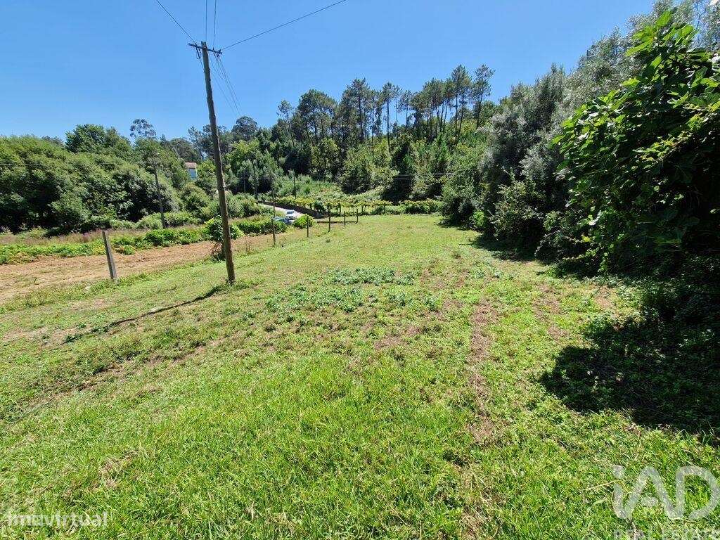 Terreno Agrícola em Torre E Vila Mou de 917,00 m2 - Grande imagem: 5/30