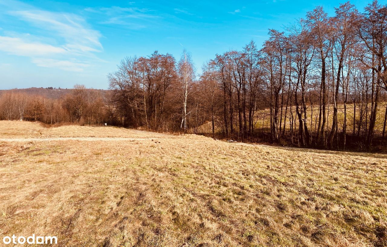 Działka budowlano - rolna w Trzemeśni