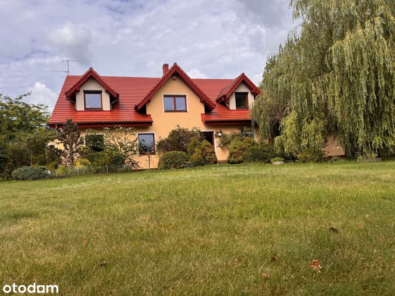 Bardzo duży dom +gabinet lekarski-0