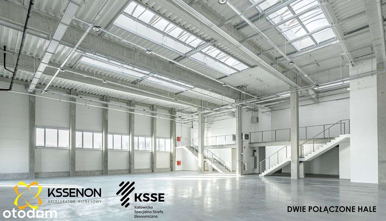 Nowe hale (od 300-1300 m2) KSSENON ulgi podatkowe - Pełny obrazek: 3/17