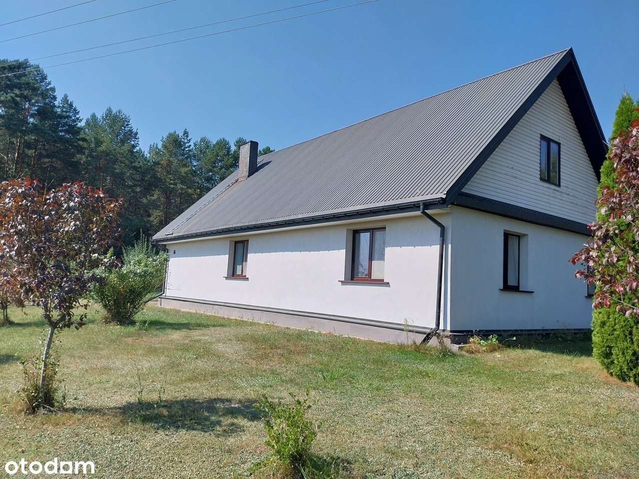 Dom-Siedlisko Nowy Lipsk powiat Augustów - Pełny obrazek: 3/19