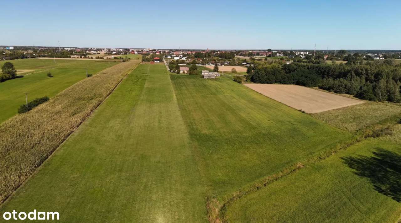 Działka 3000m2; Zambrów; ul. Stokrotki-10