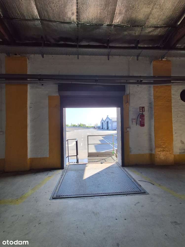 NA SPRZEDAŻ| HALA|MAGAZYN|738m2| LEWIN BRZESKI - Pełny obrazek: 5/16