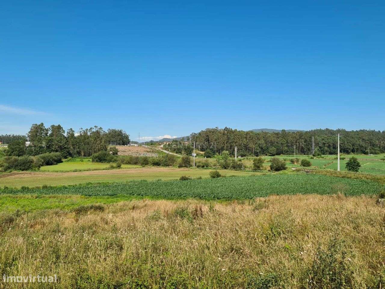 Terreno com Pavilhão Industrial em Barqueiros - Grande imagem: 5/20
