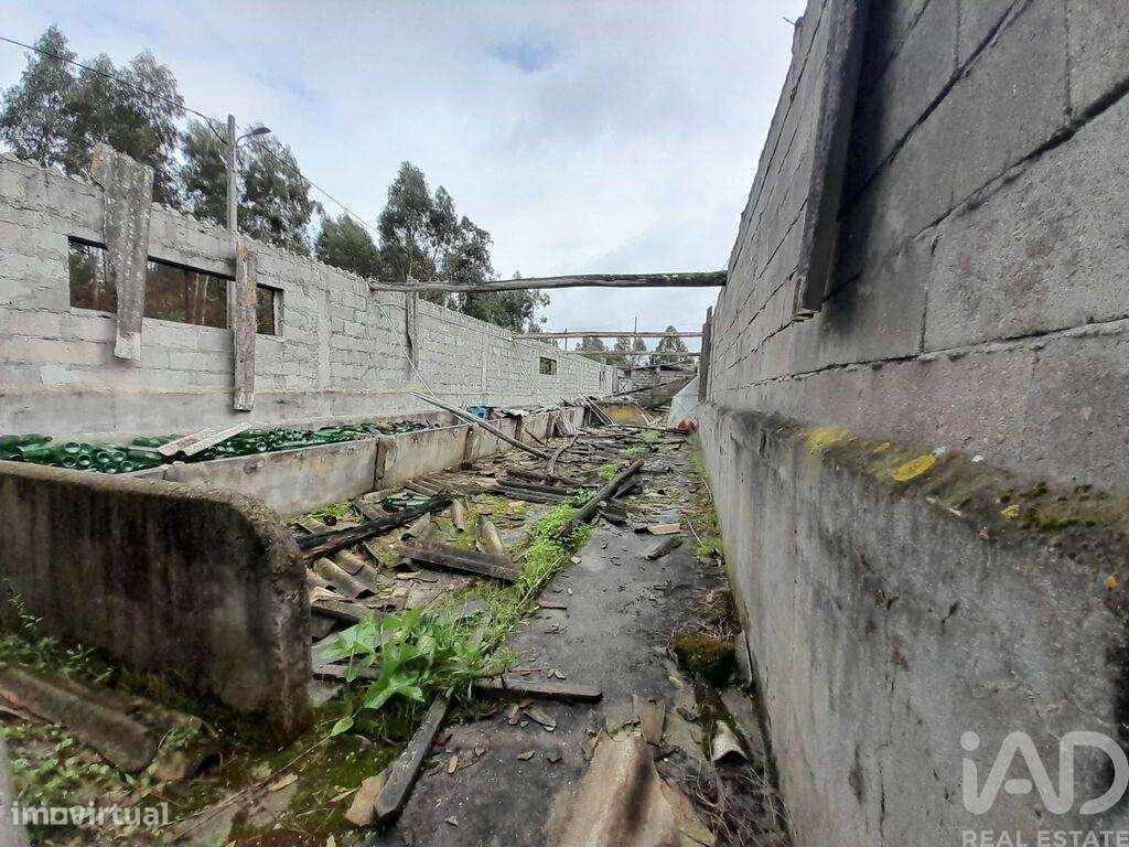 Terreno em Tocha - Grande imagem: 4/5