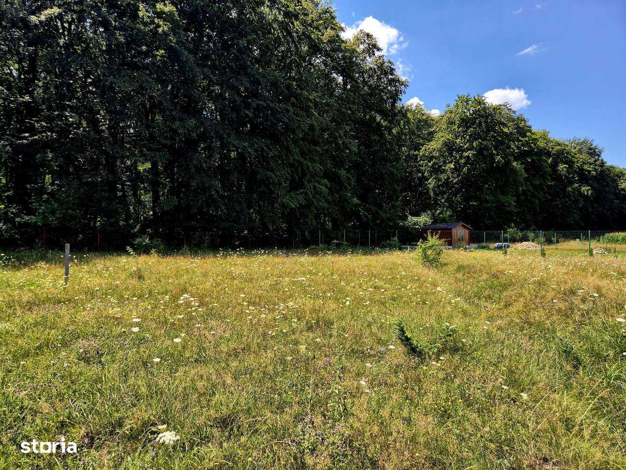 Teren cu energie speciala/Manastirea Sambata de Sus/intravilan 1000mp-6