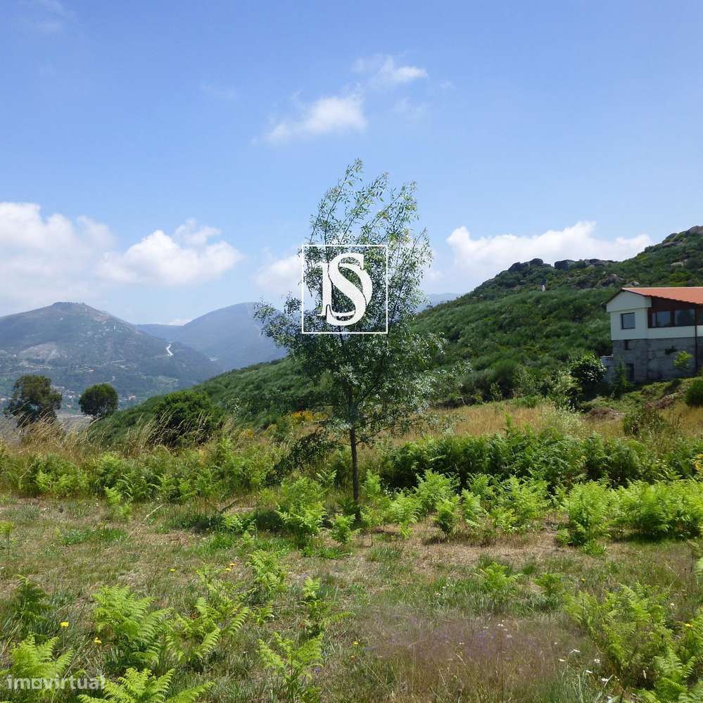 MORADIA T1 RENOVADA COM 10.000 m² – BUSTELO, AMARANTE-13