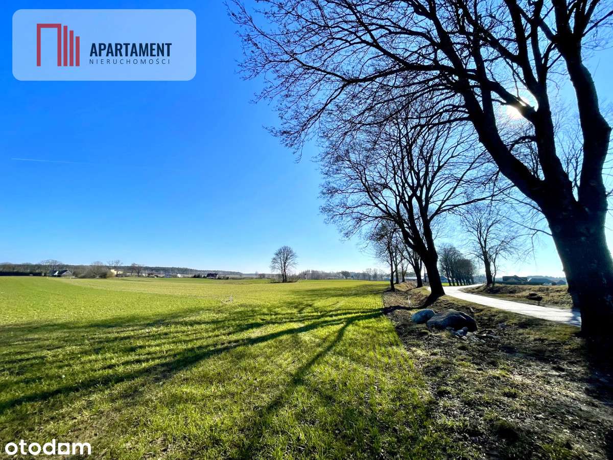 Obniżka ceny!Działki idealne pod przyszłą zabudowę - Pełny obrazek: 4/7