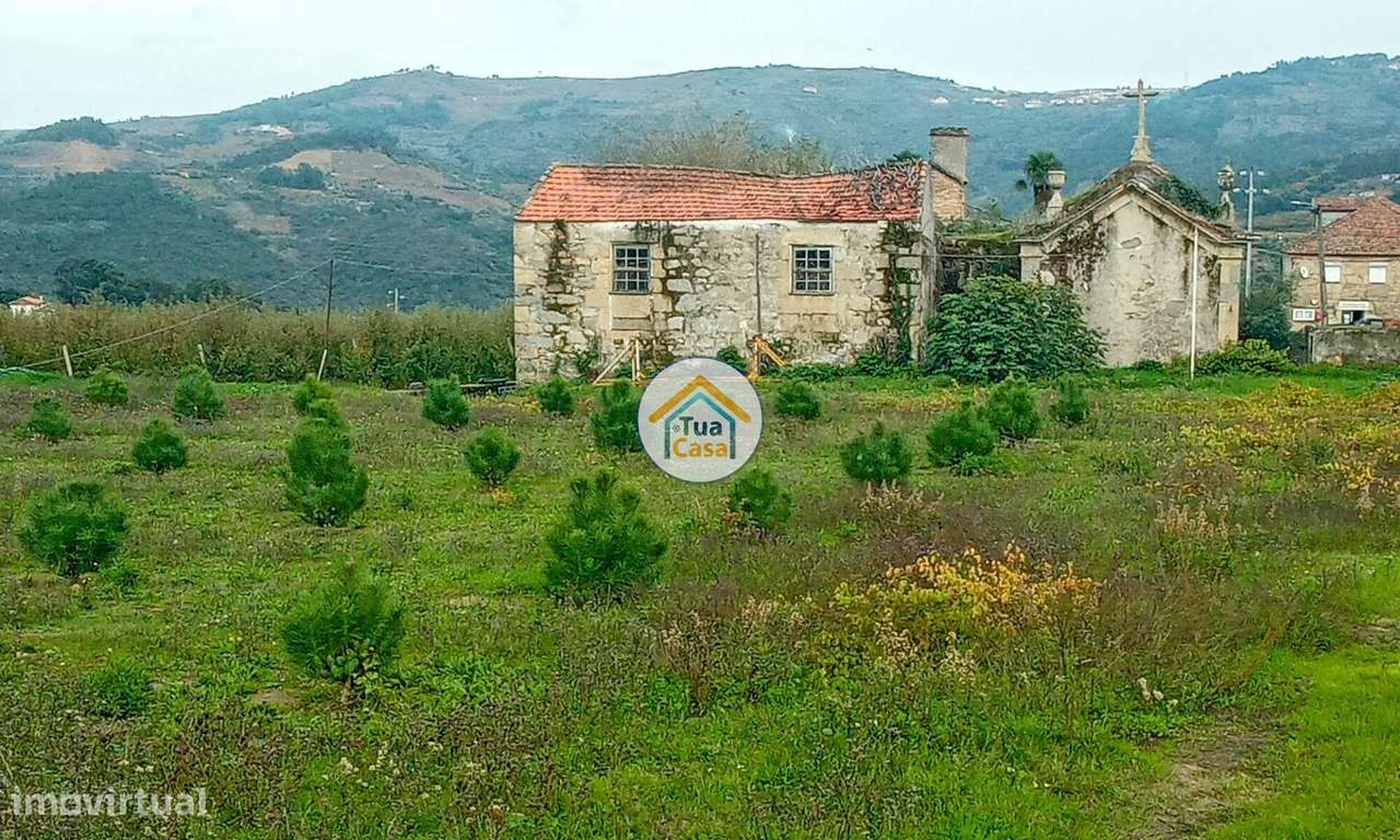 Quinta com 16 Ha em Lamego, Douro - Grande imagem: 3/44