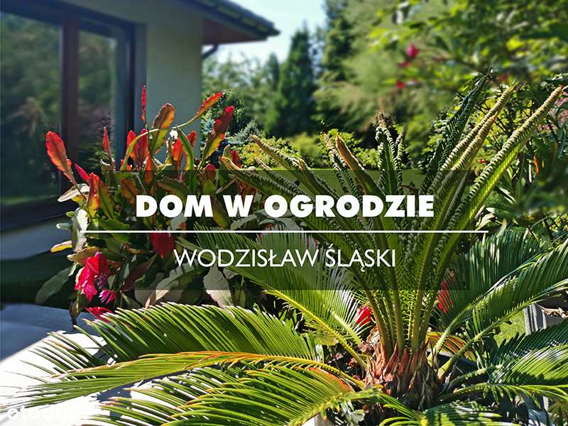 Parterowy dom w Wodzisławiu Śl. - Pełny obrazek: 1/20