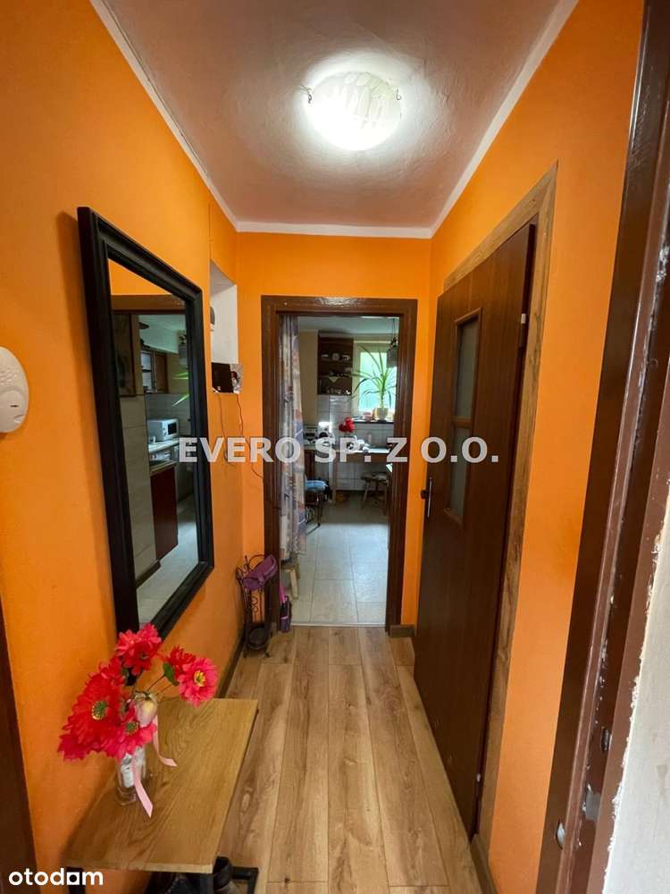 Sobótka - kawalerka z osobną kuchnią-2