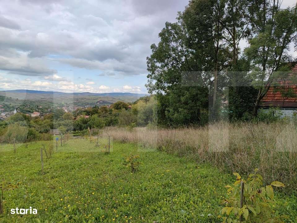 Teren intravilan construibil, 1196 mp, pentru o casa, in Cojocna! - Imagine principală: 2/2