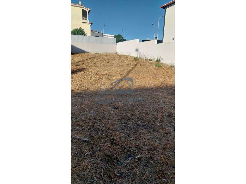 Terreno Venda Torres Novas - Grande imagem: 3/8