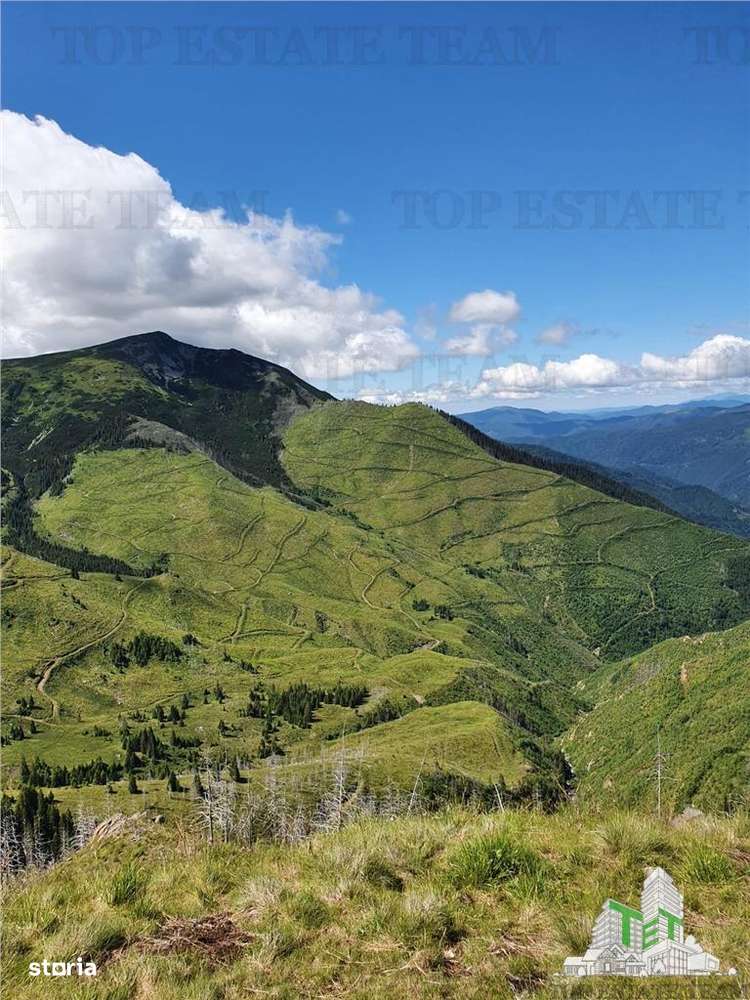 SUPER OPORTUNITATE, DE VANZARE O PROPRIETATE SPECIALA, MUNTELE VARFUL - Imagine principală: 3/20